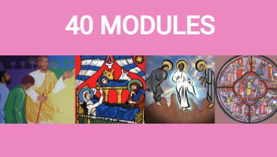 40 module